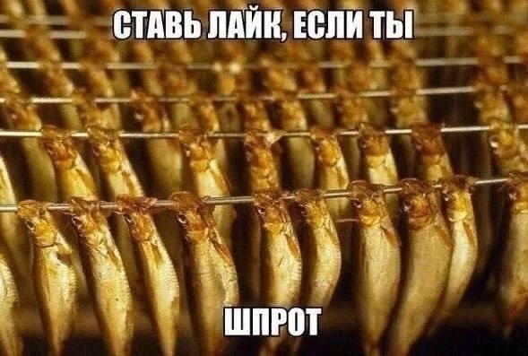 Среды картинки