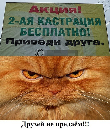 Веселое настроение в картинках 31.07.26