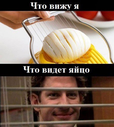 Веселые картинки в пятницу (14.08)