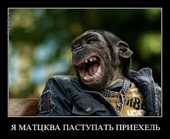 Согласен полностью