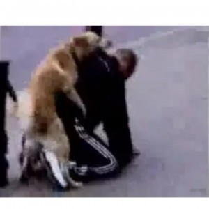 Пожалуйста, вставай!