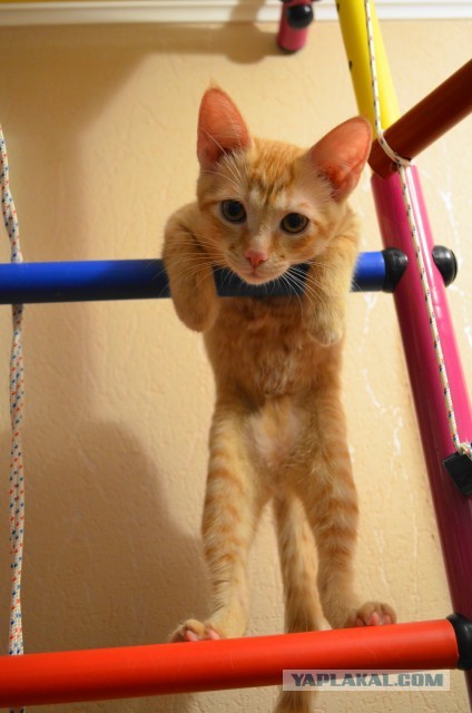 В ночь с 28 февраля на 1 марта. Без предупреждения