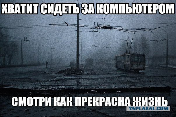 Янукович вкратце