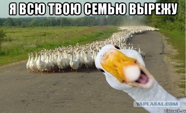Щекоталка ?