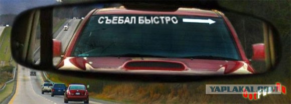 Белка и Стрелка