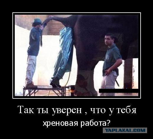 Нух@й такую работу!