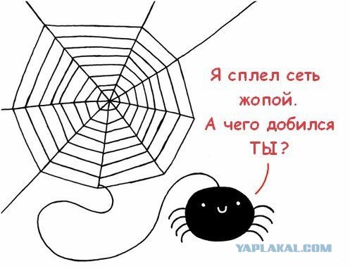 IT-эротика