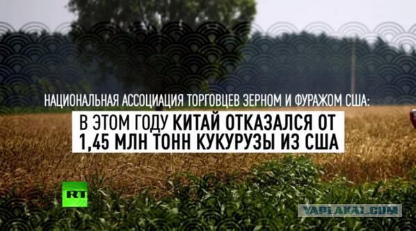 Бесславные ублюдки...
