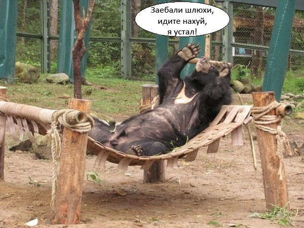Отдохнувшая Аня