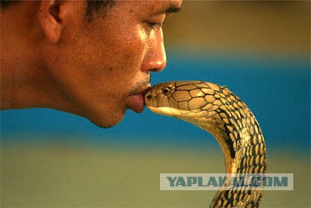 Утренний нежданчик в туалете