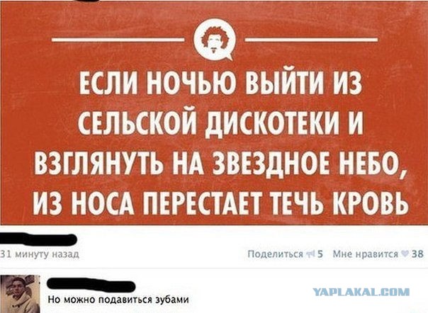 Подборка веселых картинок