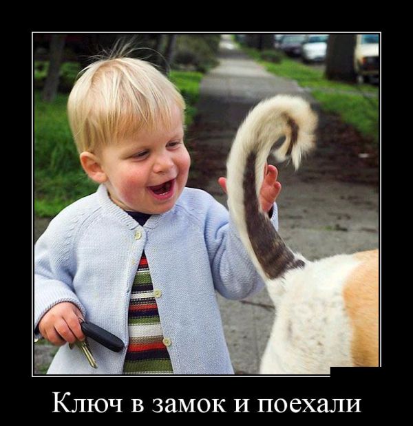 Смешные картинки