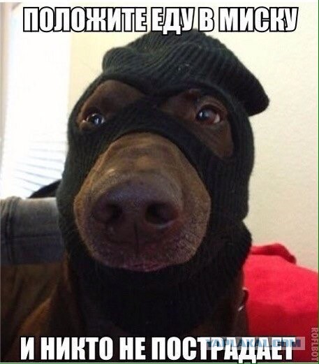 Тот неловкий момент