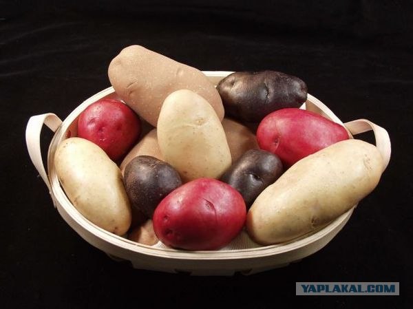 Самое дорогое и обыденное...