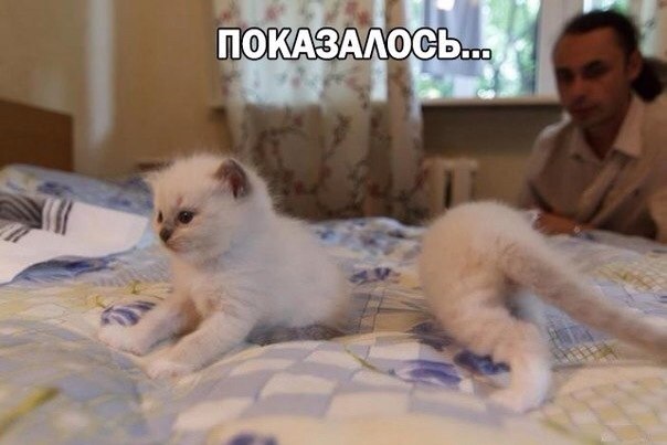 Фотки из инетов