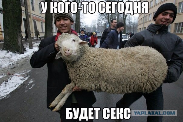 Подборка картинок из сети.