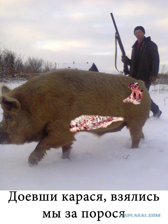 Отфотошопте меня