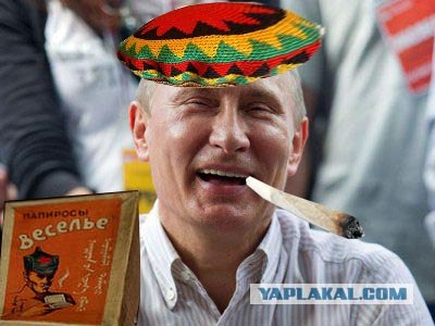 Кого из них мы выбрали?