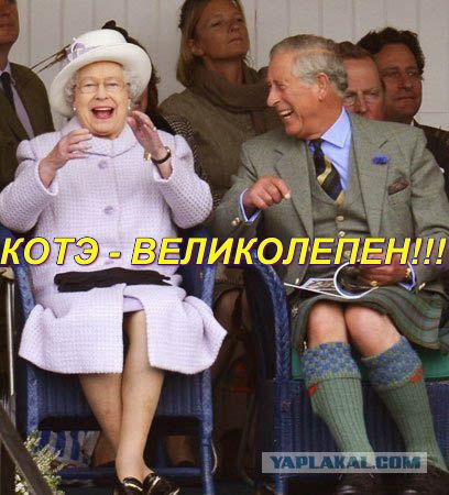 Хвост 81lvl - ХВОСТ!