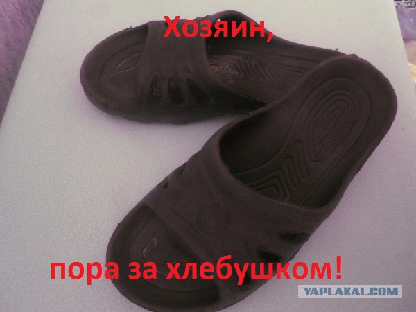 Куда пропадают люди?
