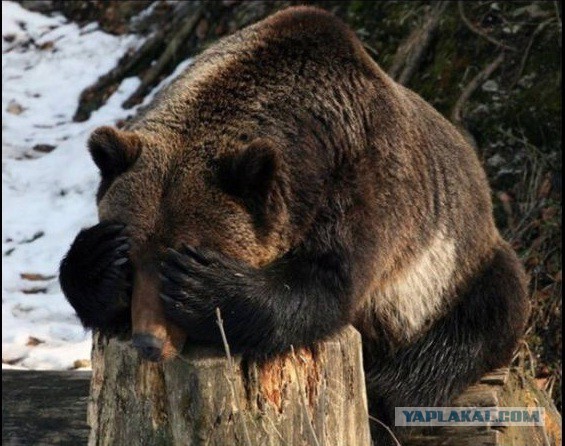 Шедевр "Шоу талантов"