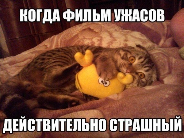 Картинки и прочее