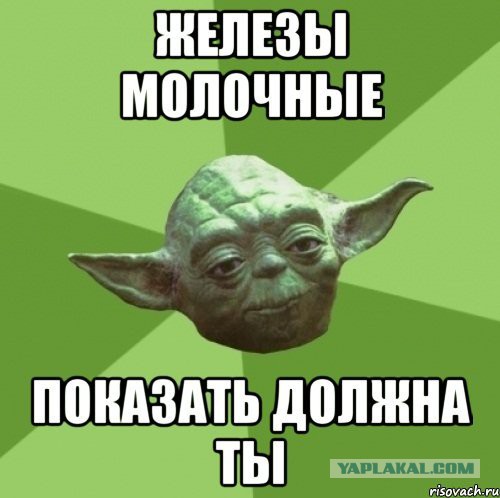 Соседка, или про картонные стены