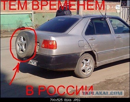 Демотиваторы на пятницу!