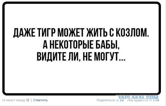 Если баба – ТП, то кто тогда ты, ее мужчина?