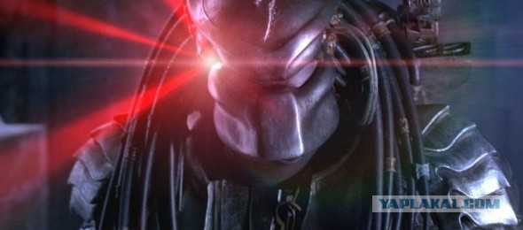 Лазерная указка и реакция животных на нее