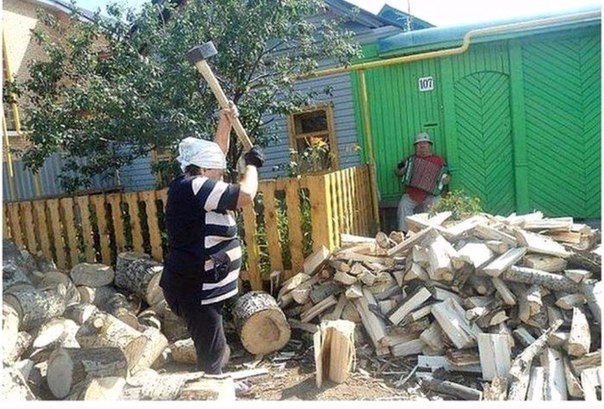 Смешные картинки с надписями