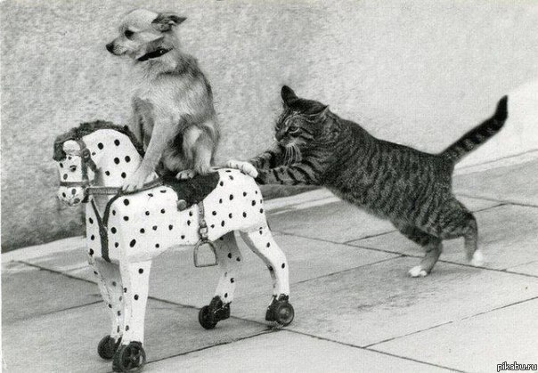 Попытка увенчалась фиаско