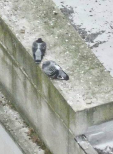 Панорама Лондона или рассмотреть лицо прохожего...