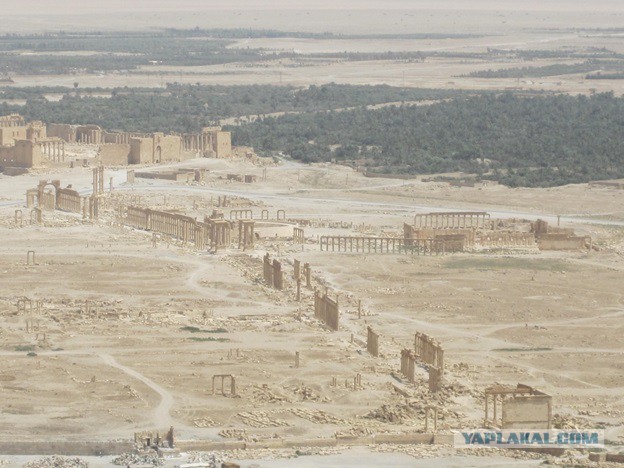 Путешествие по Ближнему Востоку (Сирия – Иордания – Ливан). Часть 2.