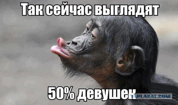 Небольшой микс картинок и гифок