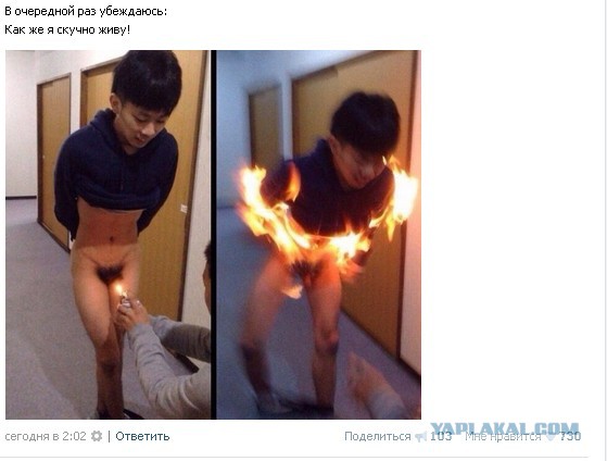 Порция картинок из сети