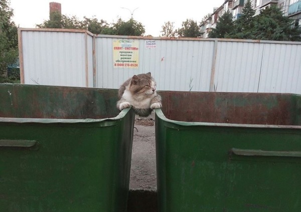 Немного картинок