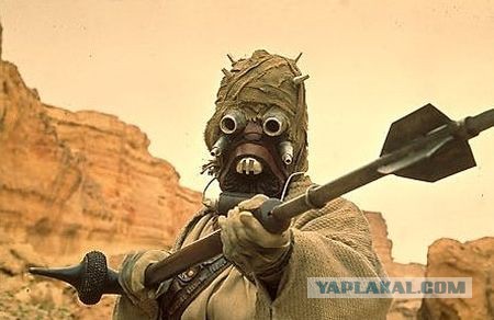 Получены первые цветные фото марсианских скал с зонда Curiosity.