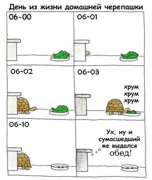 Подборка разного из сети