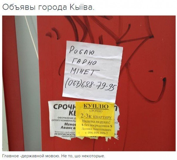 Не очень светлый и абсурдный юмор