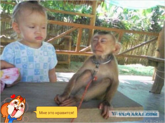 Найди клад сумасшедшего миллионера