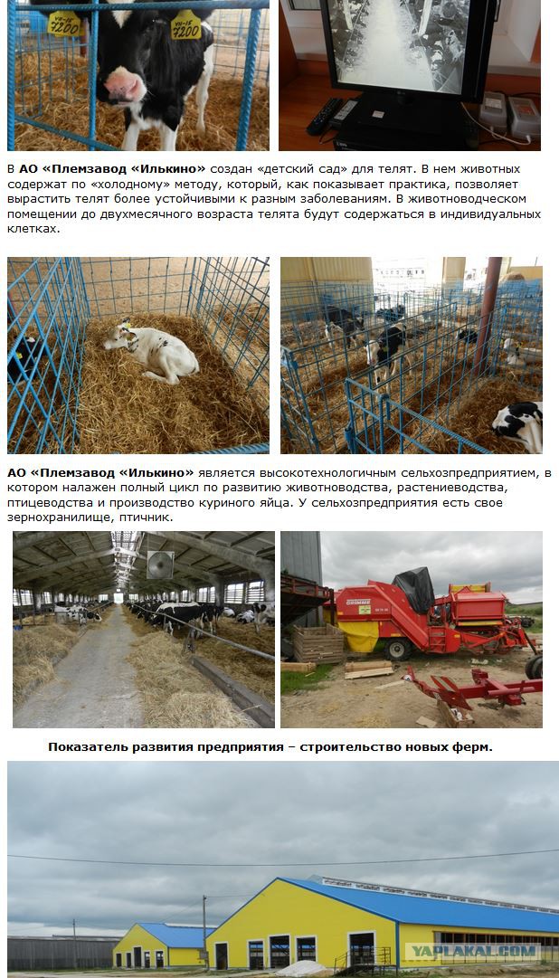 Российское сельское хозяйство полностью зависит от Запада