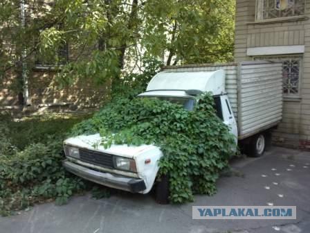 Городская недвижимость