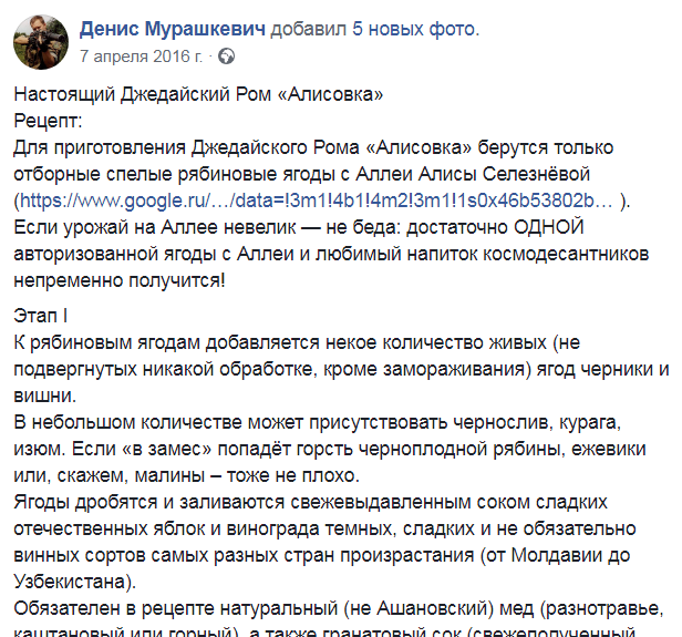 История создания Аллеи Алисы Селезнёвой