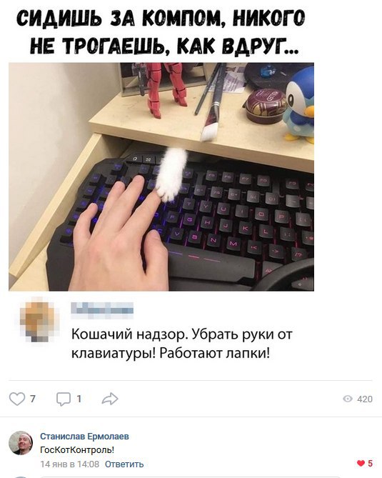 Подборка картинок с котами и про котов