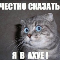 Пьяная компания совершила ДТП с кораблем(!). Есть жертвы