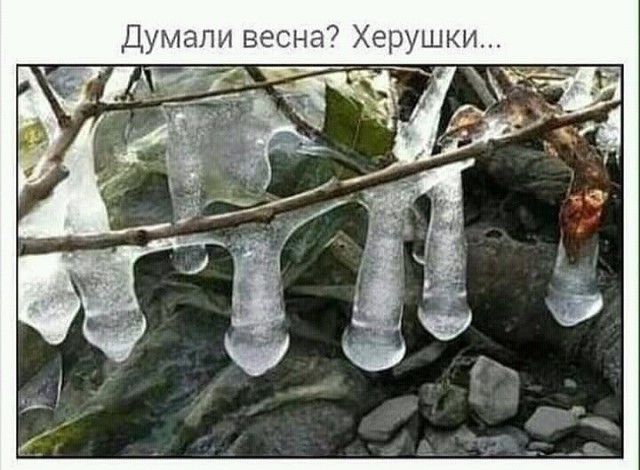 Прикольные и просто красивые картинки 04.12.2019