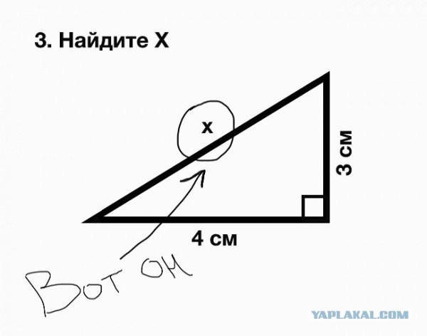 Невероятные результаты опроса старших школьников