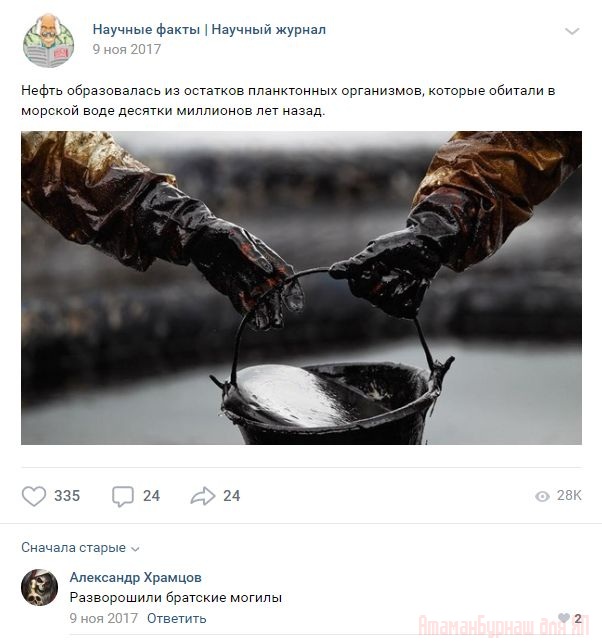 Комментарии к постам в разных группах, которые вызвали улыбку