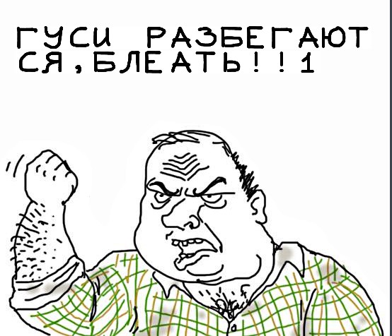 Будь мужиком, скажи что думаешь!